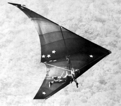 Hang glider : Albatros ; Manufacturer : Favul