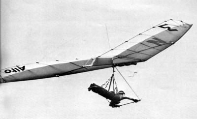 Hang glider : Alto ; Manufacturer : Noin