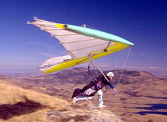 Hang glider  Buzz