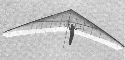 Hang glider : Challenger Super ; Manufacturer : Falhawk