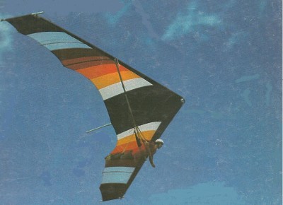 Hang glider  Cobra
