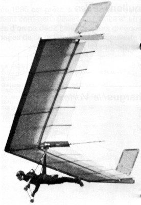 Hang glider : D-Fledge ; Manufacturer : Danis