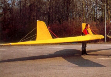 Hang glider  Delka