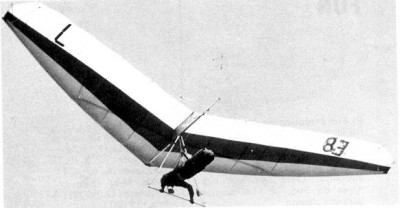 Hang glider : Duck ; Manufacturer : Wills Wing