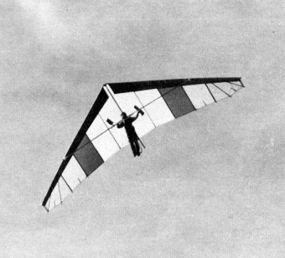 Hang glider : Edelweis ; Manufacturer : Noin