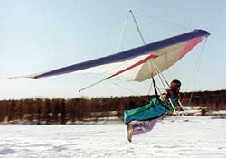 Aile : Elan ; Fabricant : Avian Hang Gliders