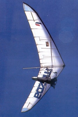 Hang glider : Excel ; Manufacturer : Falhawk