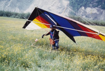 Hang glider  Firebird