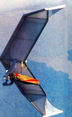 Hang glider  Flair