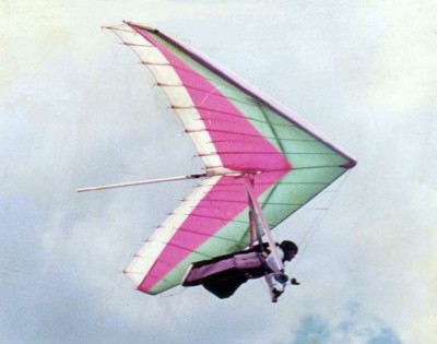 Hang glider  Foil Combat