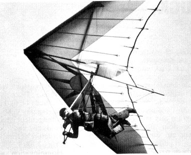 Hang glider : Fun ; Manufacturer : Noin