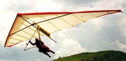 Hang glider : Grashupfer ; Manufacturer : Ikarus Pellicci