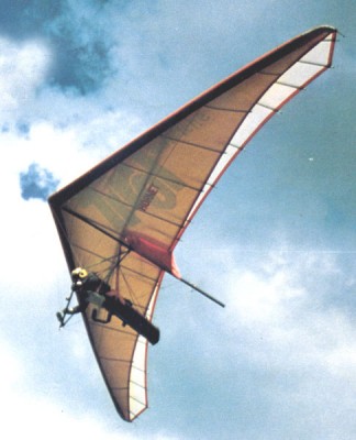 Hang glider  Hornet