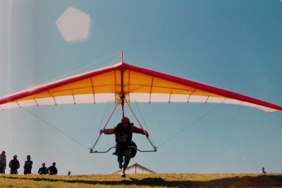 Hang glider  Kea