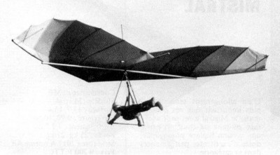 Hang glider  Lancer Royal