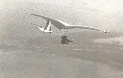 Hang glider  Libellule