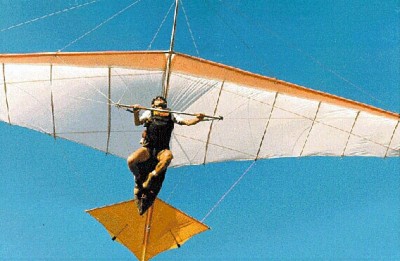 Hang glider  Litewing