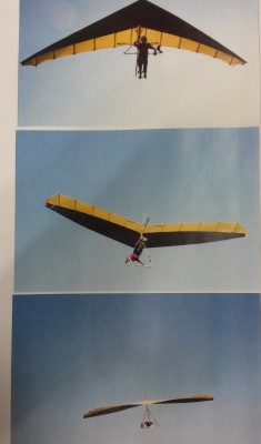 Hang glider : Master ; Manufacturer : Rithner