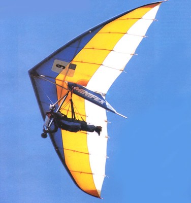 Hang glider  Minifex