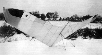 Hang glider : Nimbus ; Manufacturer : Noin