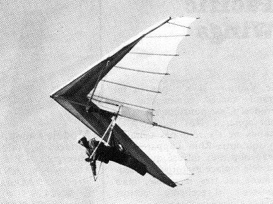 Hang glider : OmGa ; Manufacturer : Pro-Delta