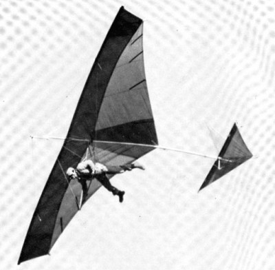 Hang glider  Petrel