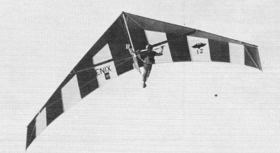 Hang glider  Phoenix 12