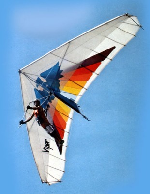 Hang glider  Phoenix Viper