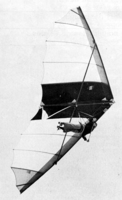 Hang glider  Sk