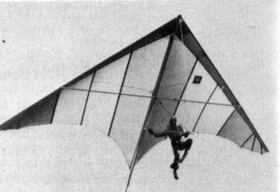Hang glider  Stinger