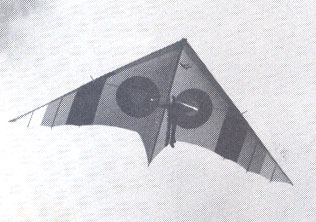 Hang glider  Super Swallowtail