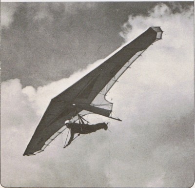 Hang glider : Vendest ; Manufacturer : Voilerie Du Vent