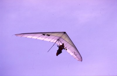 Hang glider  Xs