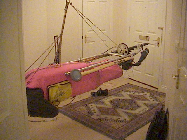 electric flphg mosquito